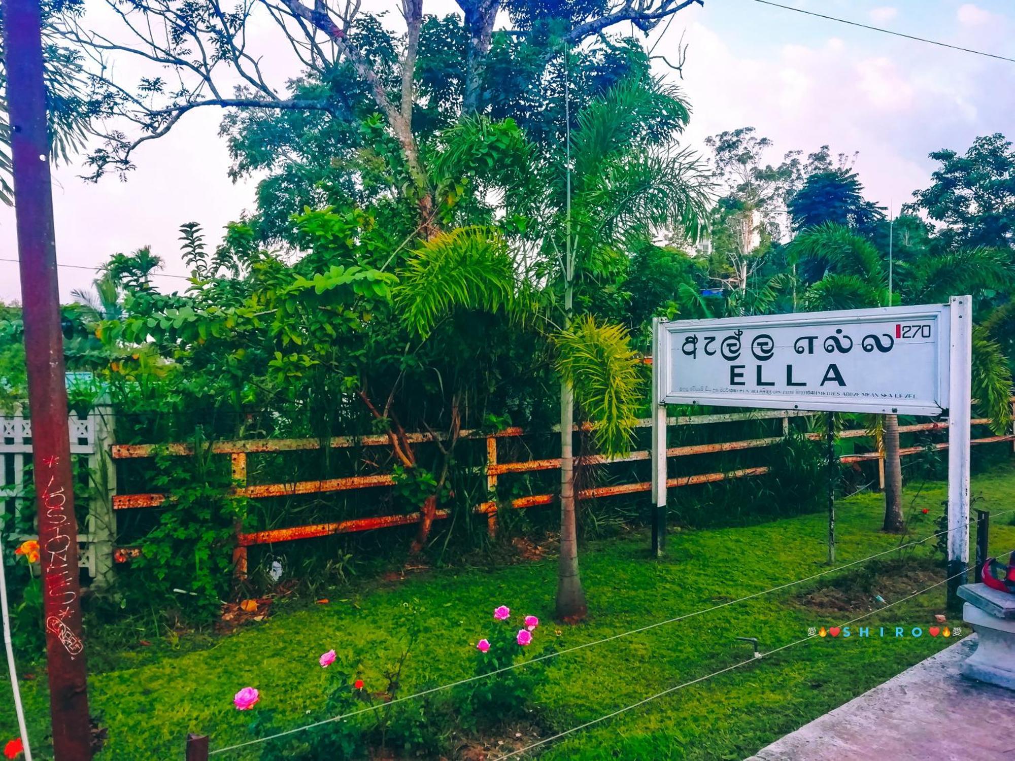 Saddle Cottage 埃拉 外观 照片