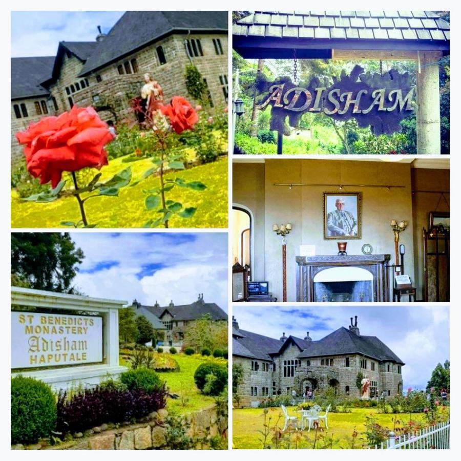 Saddle Cottage 埃拉 外观 照片